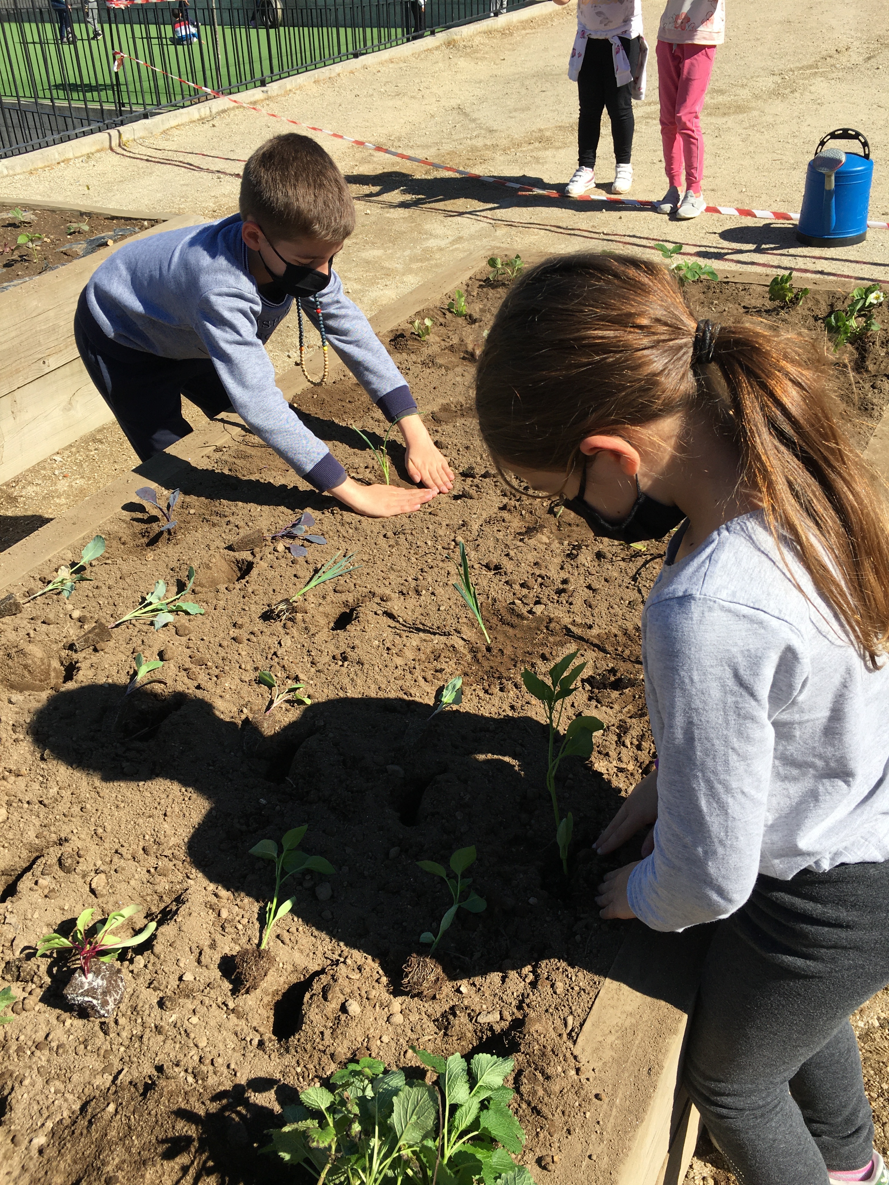 Plantação
Os alunos das quatro turmas da escola trouxeram produtos locais e procederam à sua plantação.