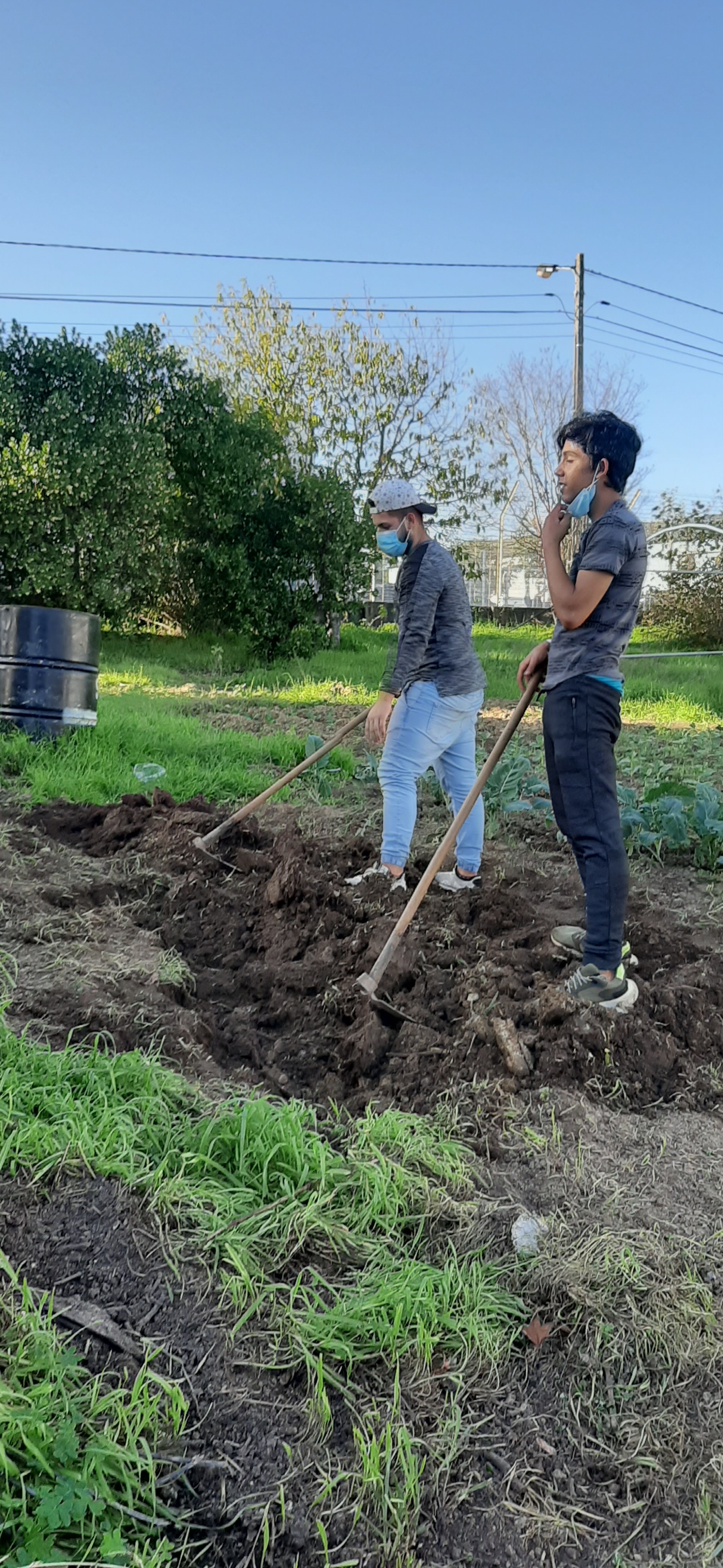 Horta Pedagógica _ preparação do terreno para a plantação das espécies vegetais