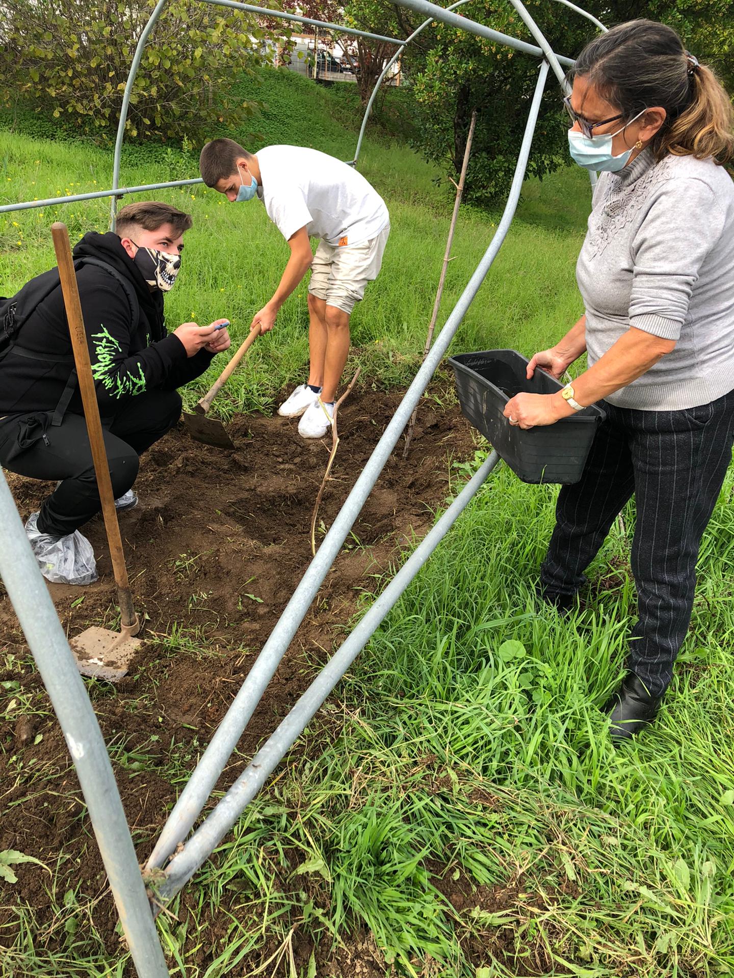 Horta Pedagógica _ Plantação de chuchu