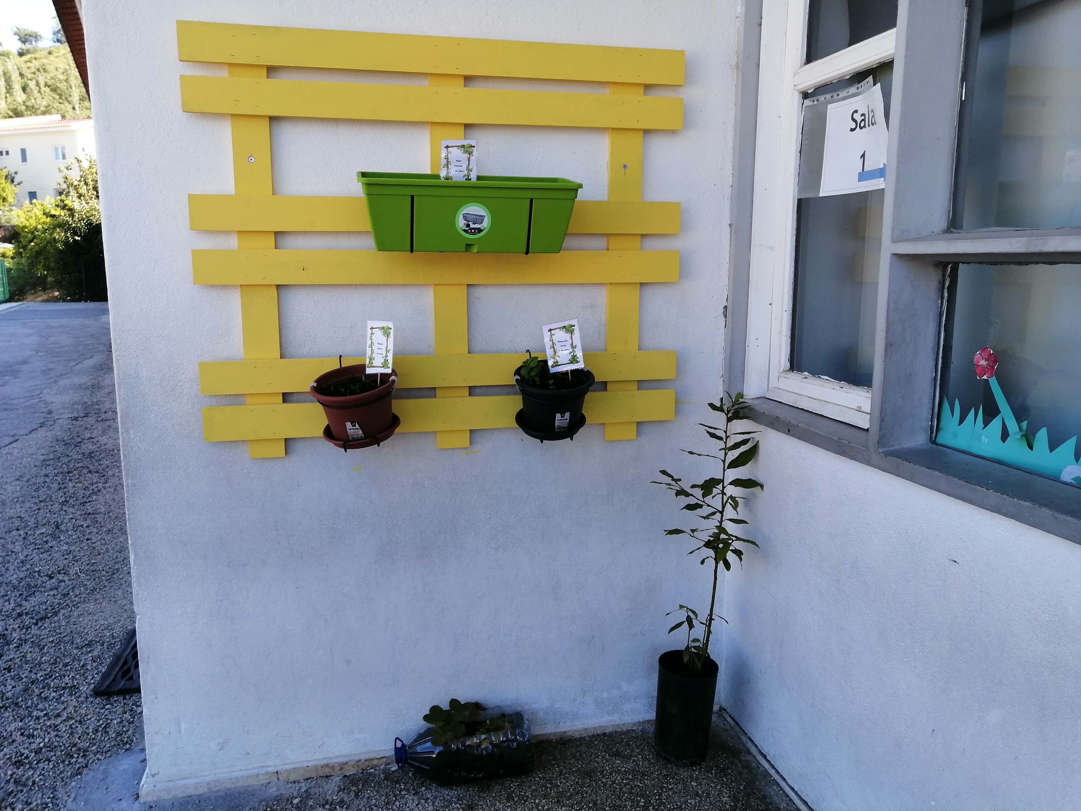 E é este o aspeto da nossa horta vertical após a sementeira.