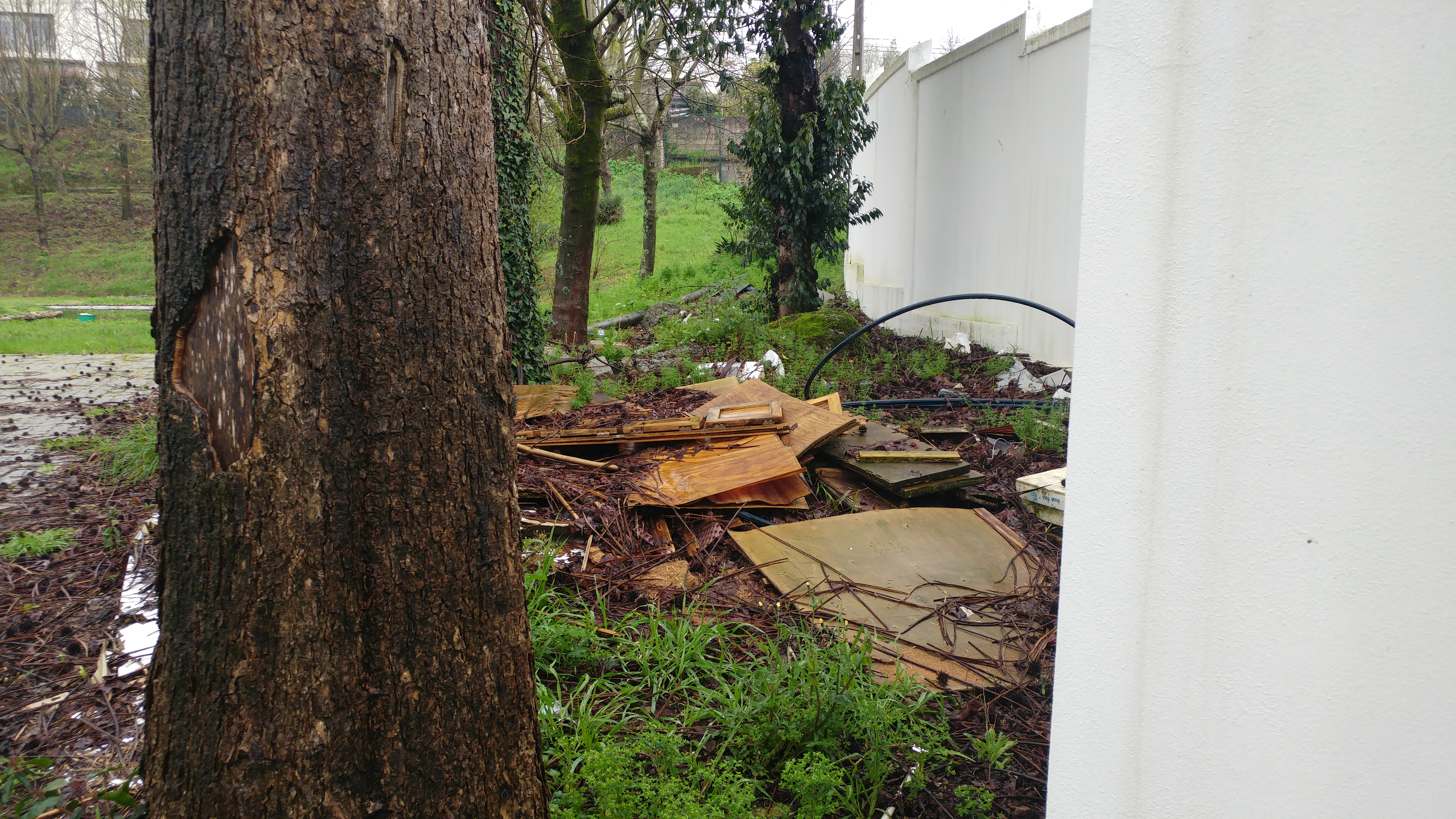 Outra vista do aspeto da área da futura horta