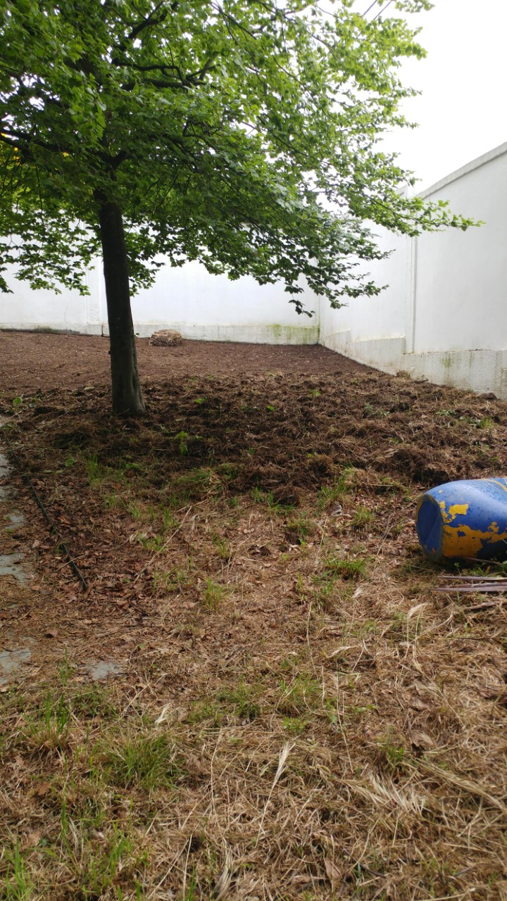 Outra vista do local de instalação da horta