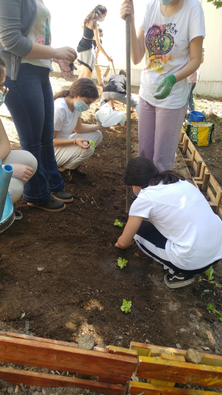 Alunos do 11º ano a cultivar na horta.