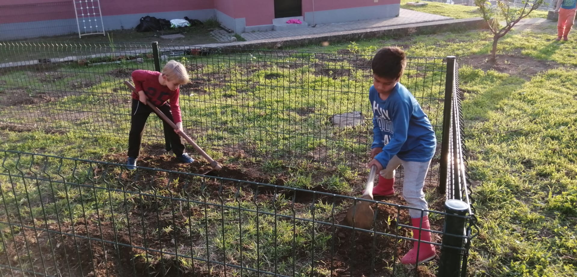 Os nossos jovens agricultores não medem esforços para deixar o terreno pronto para cultivar.