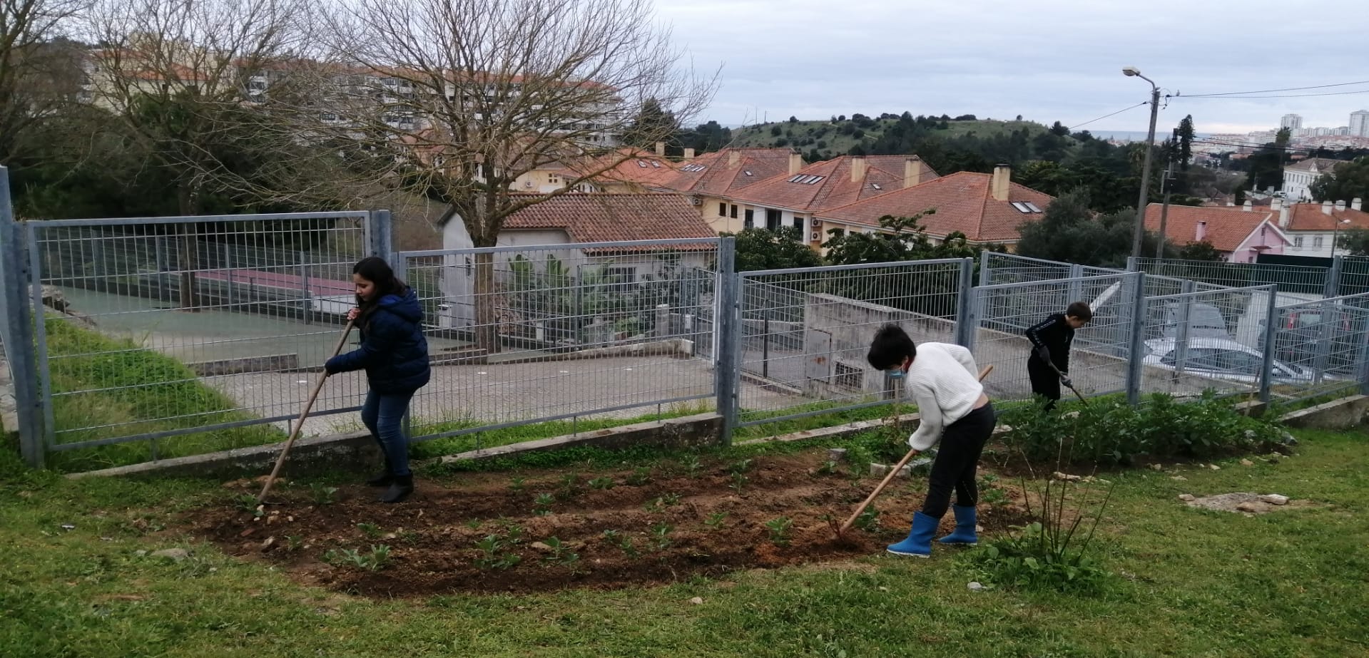 Turma do 4. ano a trabalhar a terra para plantar favas.
