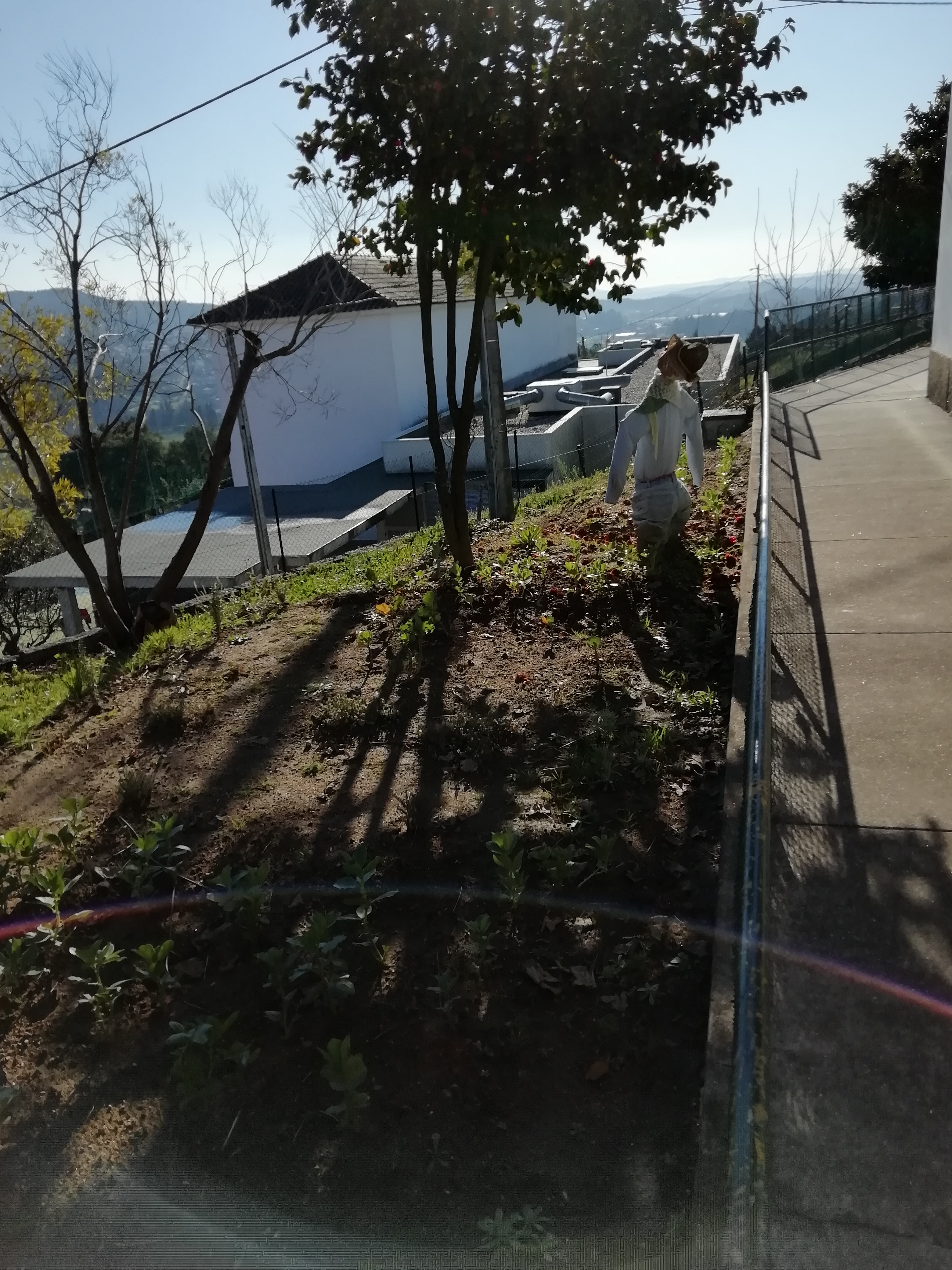 Panorâmica atual da horta cultivada.