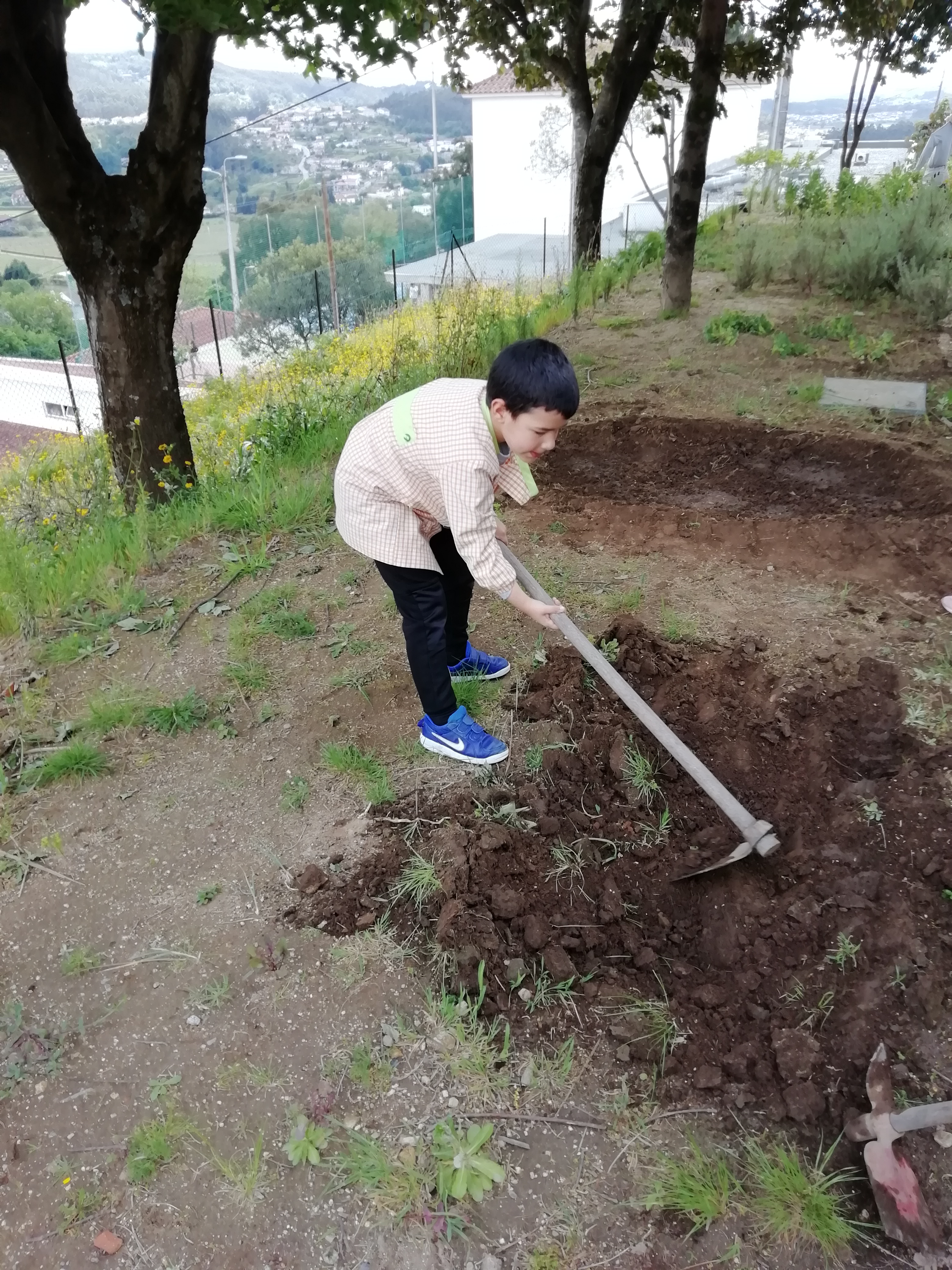 A preparar a terra para plantar novas plantas