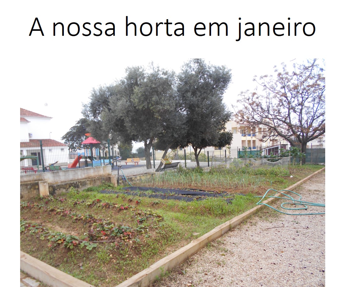 A nossa horta em janeiro.