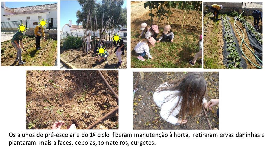Os alunos do pré-escolar e 1º Ciclo fizeram manutenção à horta, retiraram ervas daninhas, plantaram mais alfaces, cebolas, tomateiros e curgetes.