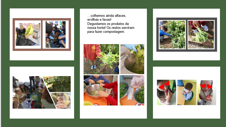 Estava na hora de colher as alfaces,as favas e as ervilhas. Descascamo-las e foi muito divertido! Fomos preparando e comendo estes legumes ao longo da semana, no refeitório da nossa escola. Com os restos vegetais fizemos a compostagem.
