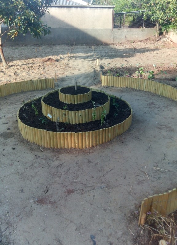 Canteiro das ervas aromáticas e plantação das primeiras plantas