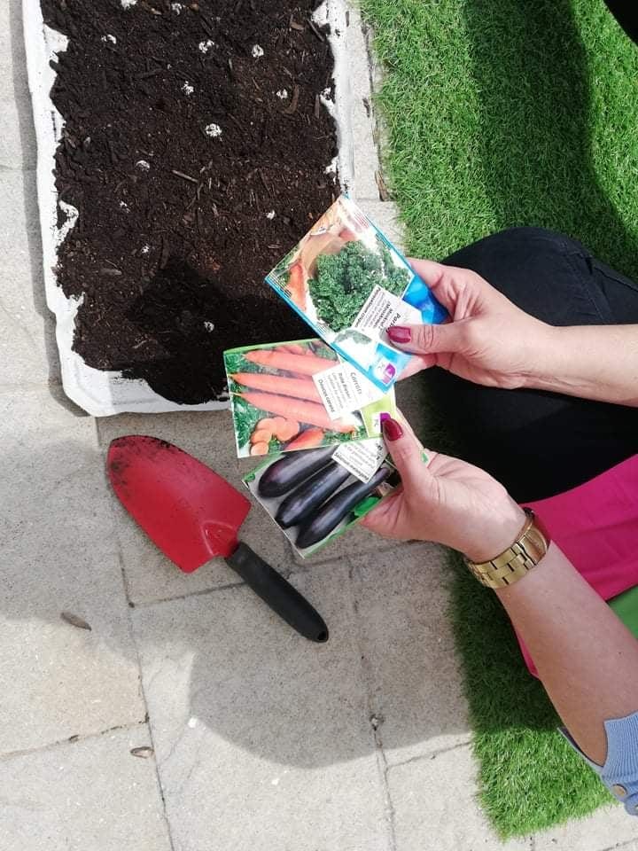 Fizemos a sementeira dos legumes numa caixa de ovos para depois transplantarmos para a horta