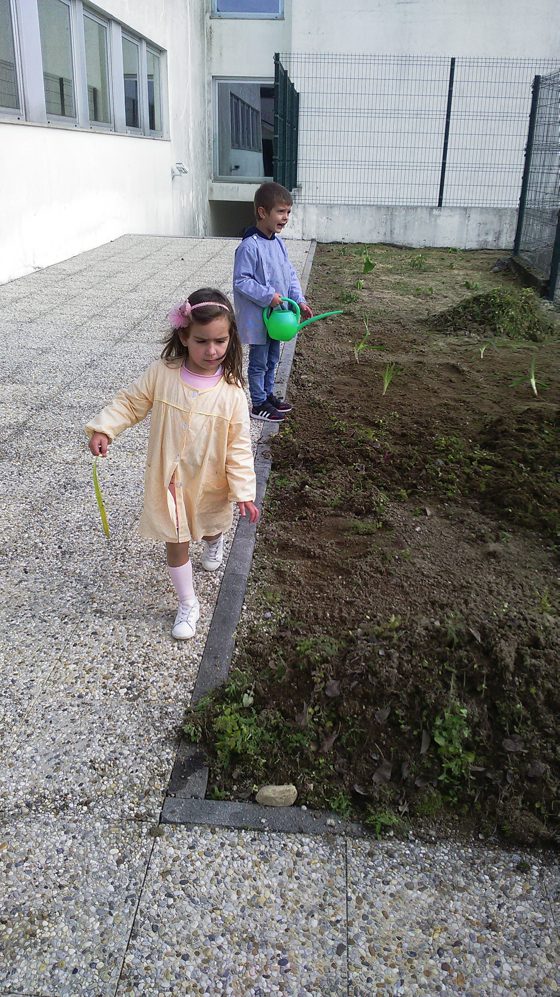 Alunos a regarem a sementeira e a plantação feita anteriormente.