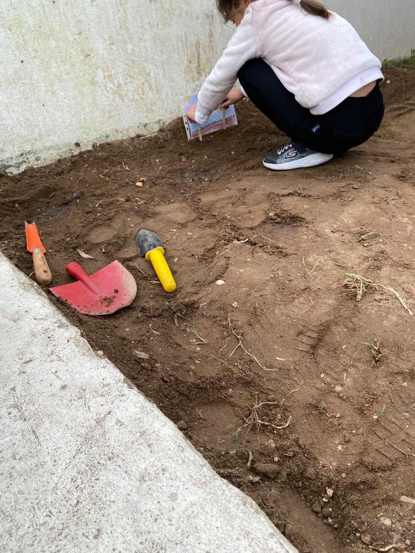 Sementeira com etiquetas para identificar