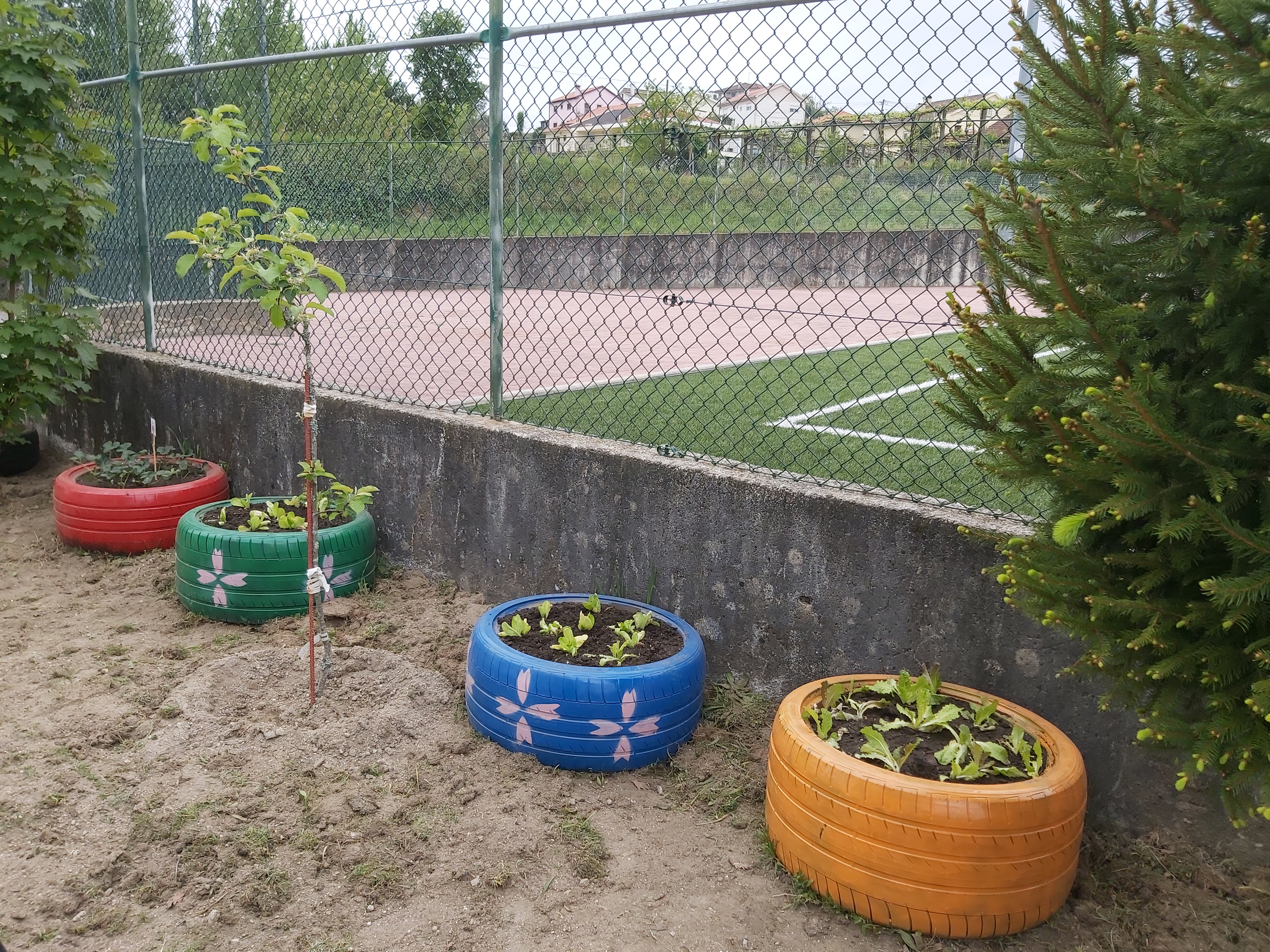Horta após a plantação.