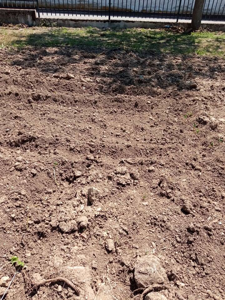 Espaço para a horta