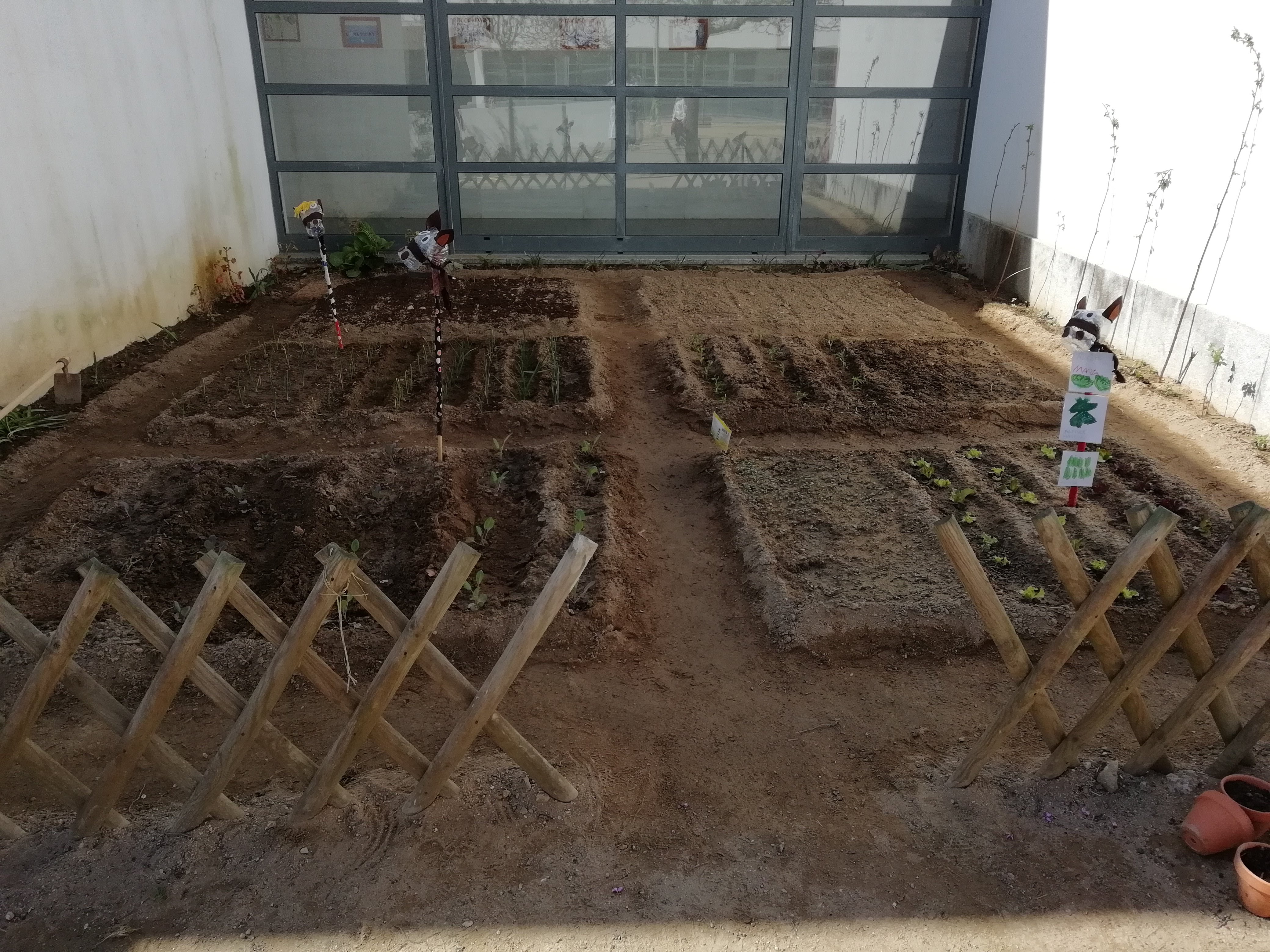 Plano geral cultivado