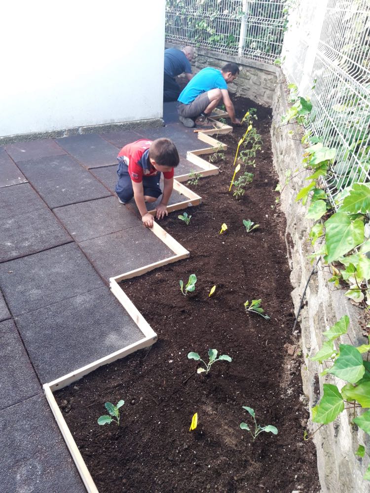 A nossa horta parece um jardim!