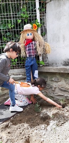 Plantação de ervas aromáticas.