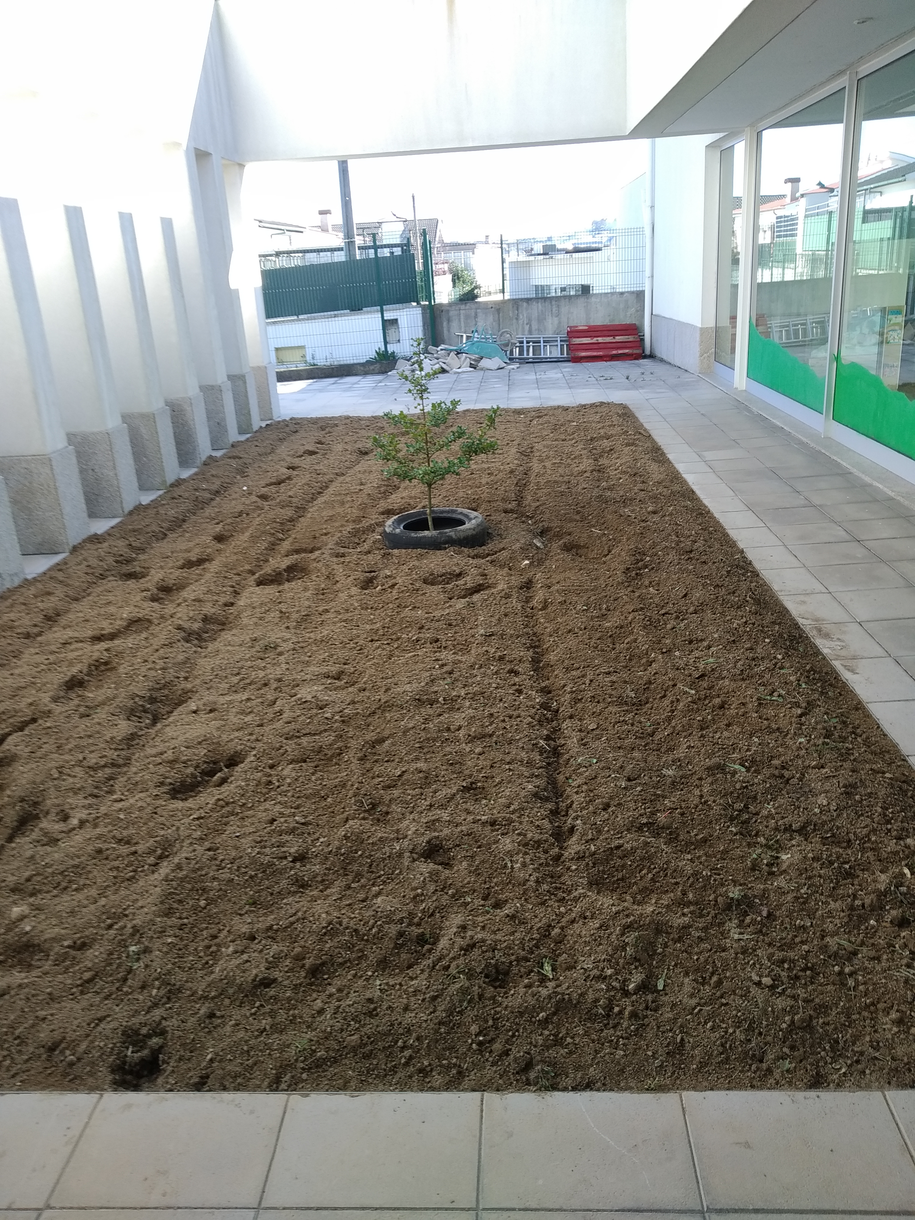 terreno preparado para as aromáticas....