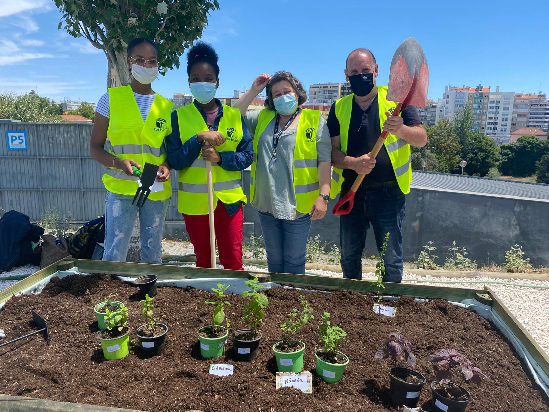Após aplicação dos adubos biologicos foram escolhidas as plantas para plantar.  plantas biologicas cedidas pela professora Ana Rois -Quinta das Águias, quinta pedagógica, em Paredes de Coura. plantas: Erva cidreira, oregãos , menta, névoda, tomilho.
