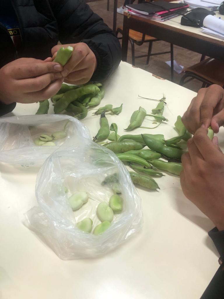 Produtos hortícolas obtidos na nossa horta.