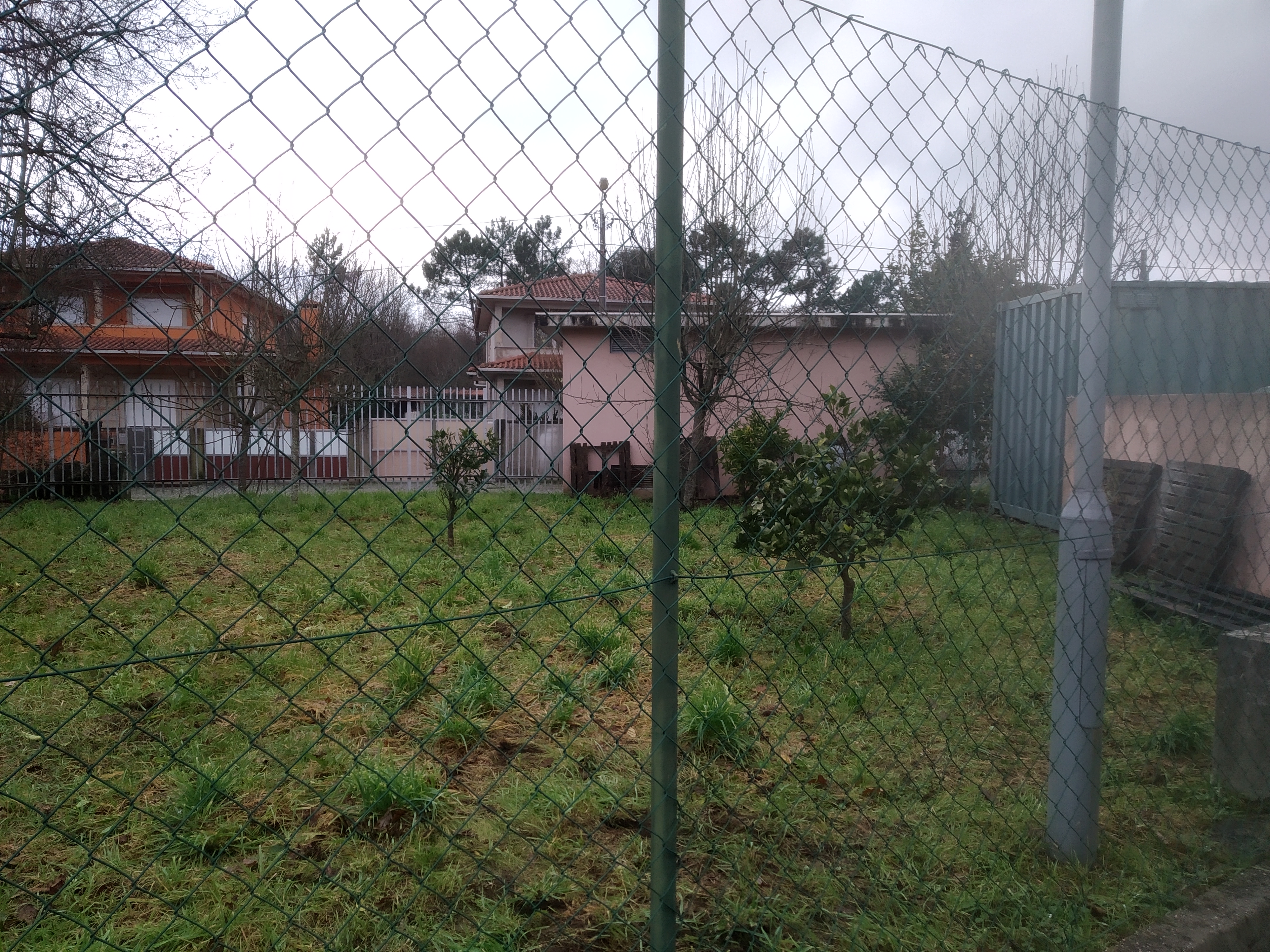 Desafio: Revitalizar a horta, com novas interações bióticas e abióticas, depois de alguns anos em repouso; escolha da área de cultivo