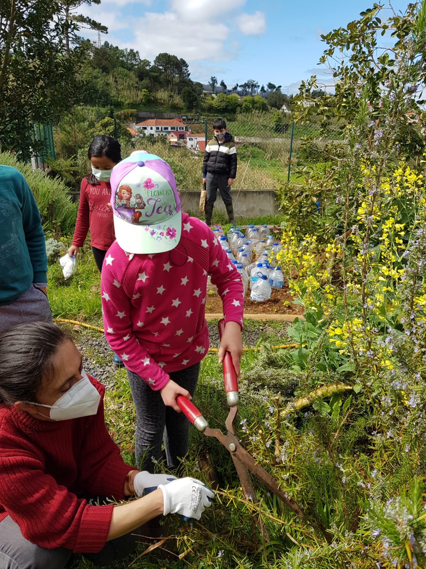 Limpeza da Horta