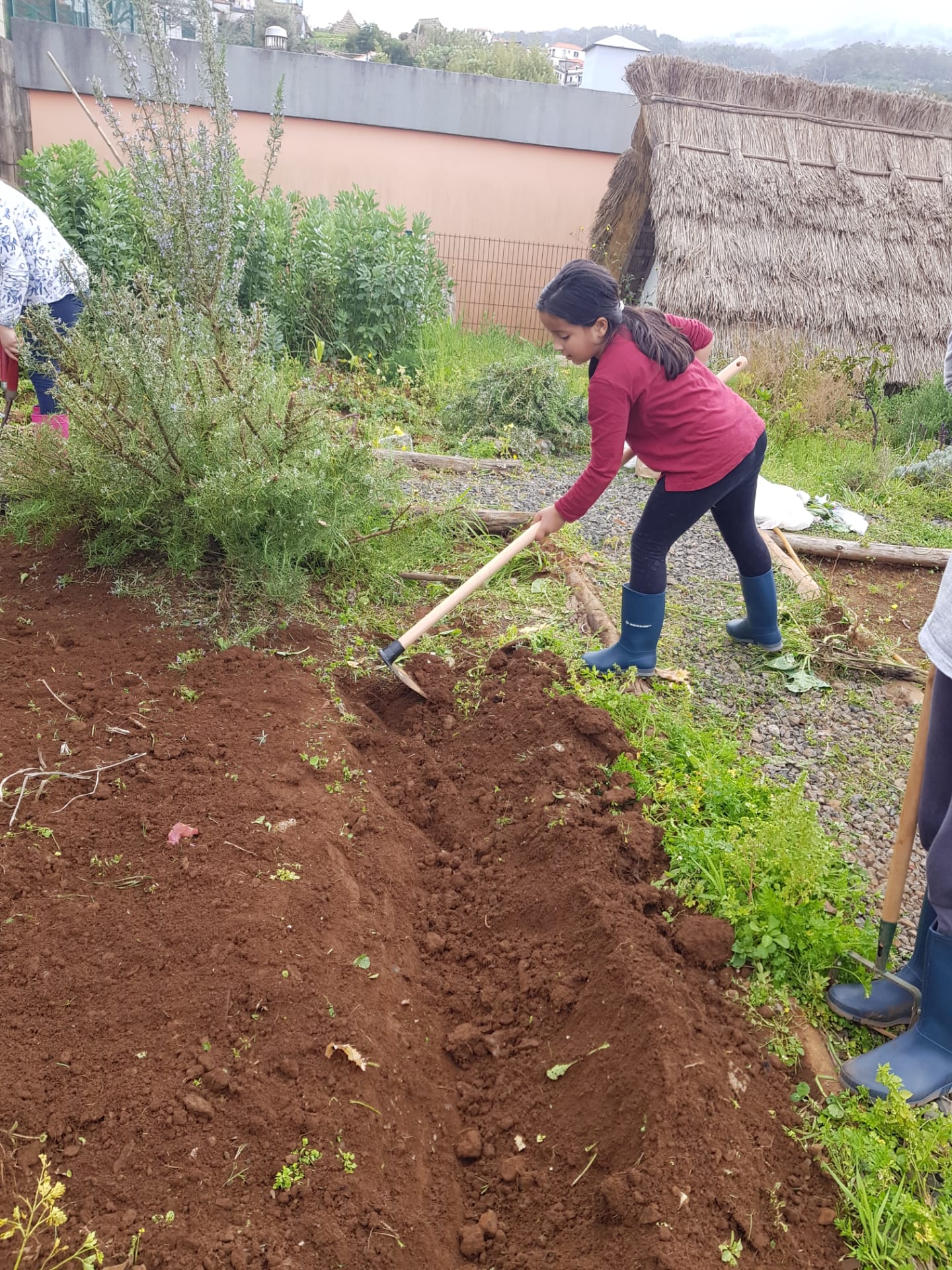 Construção de "regos" para a plantação