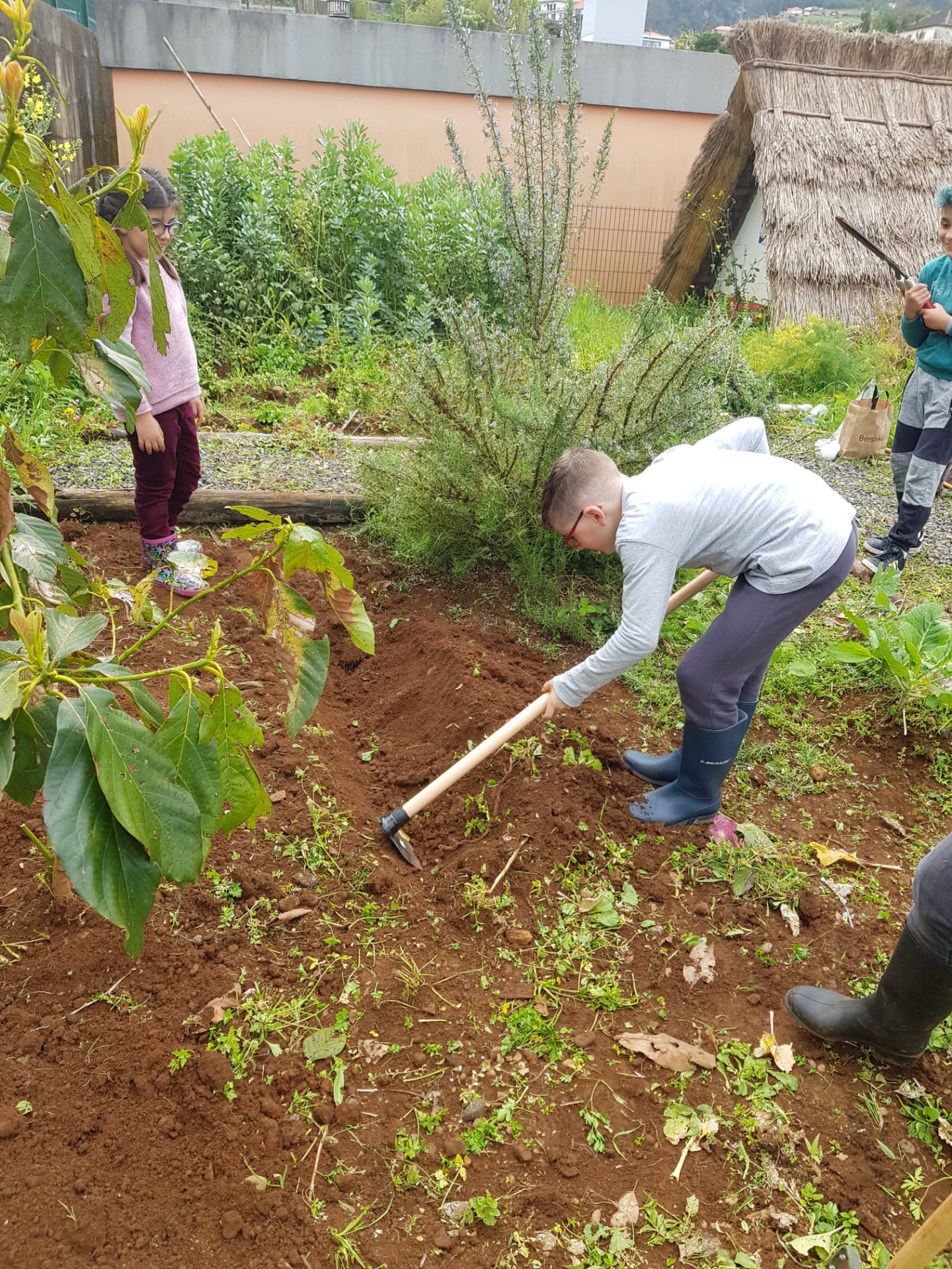 Preparação do terreno para cultivo