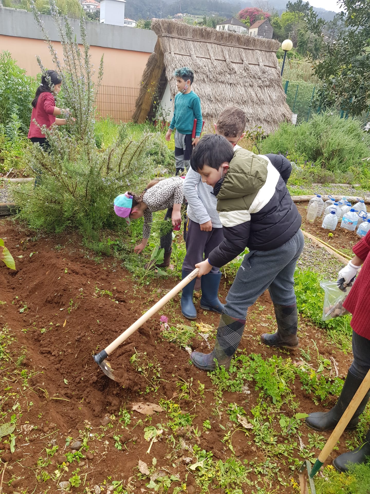 Preparação do terreno para cultivo