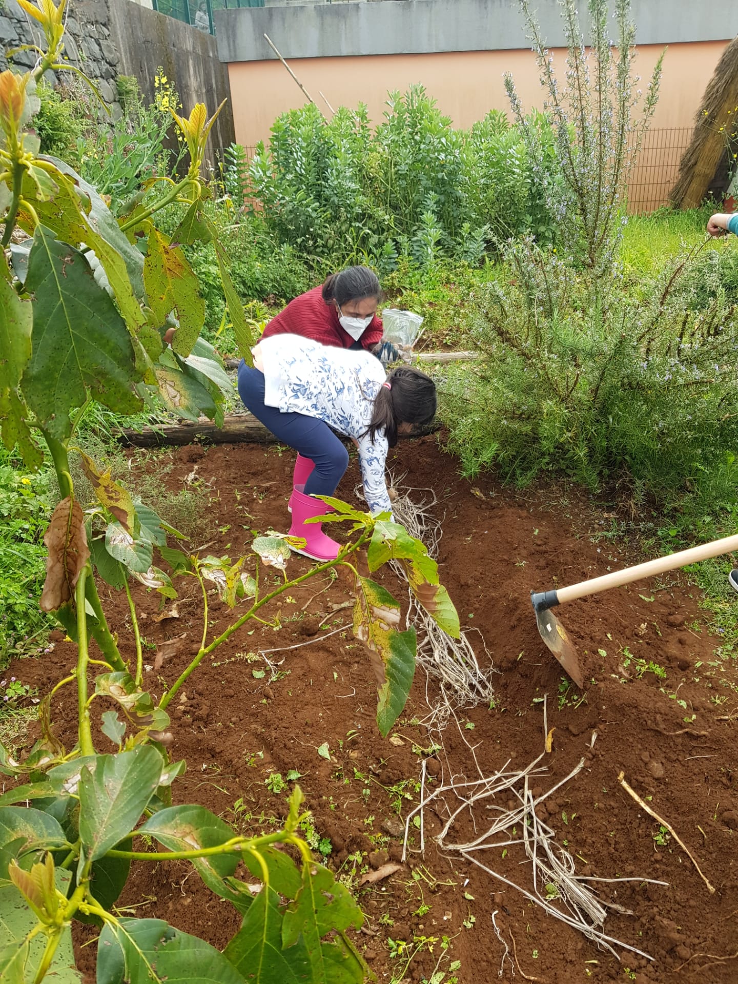 Preparação do terreno para cultivo