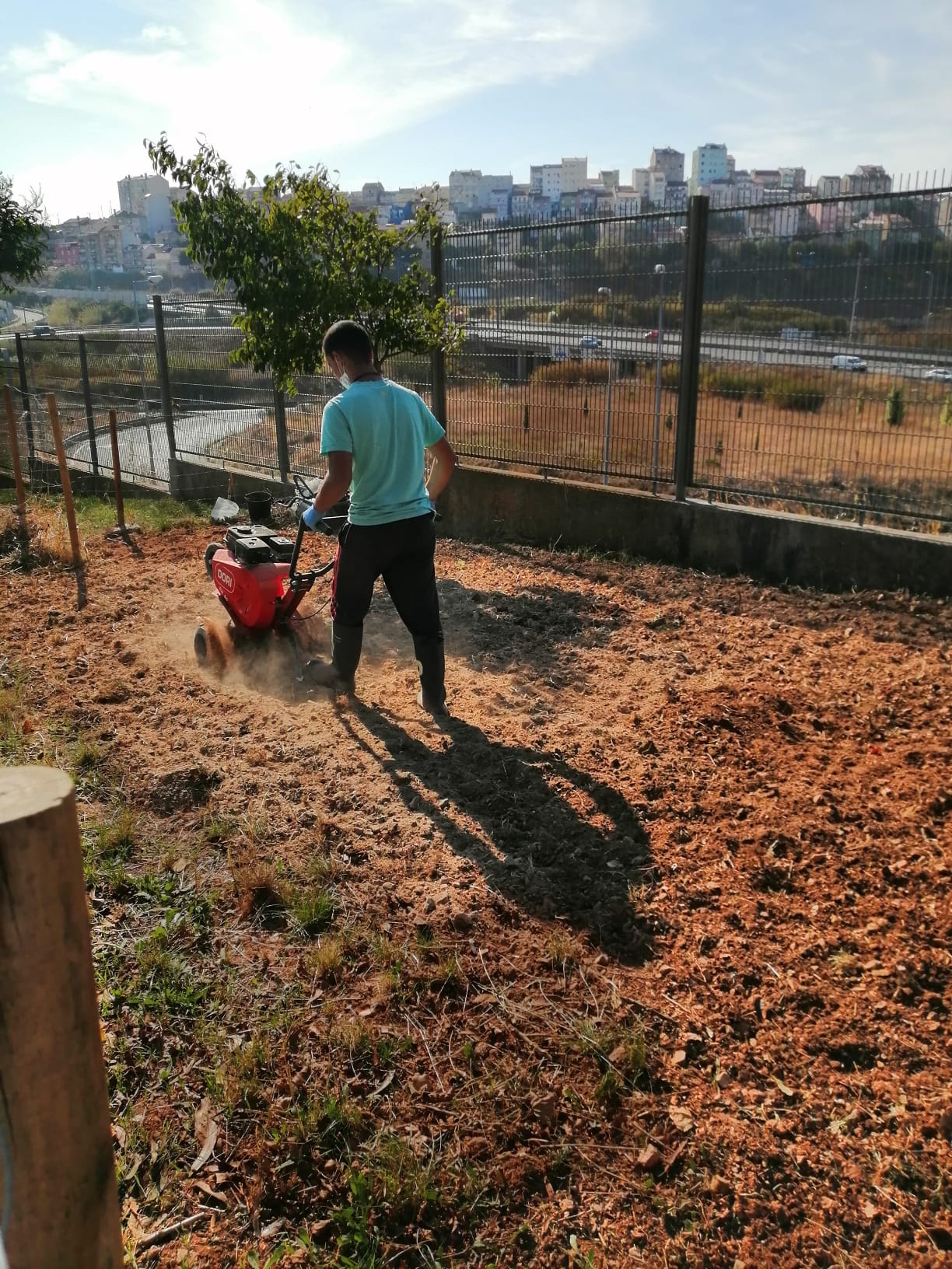 Preparação do terreno.