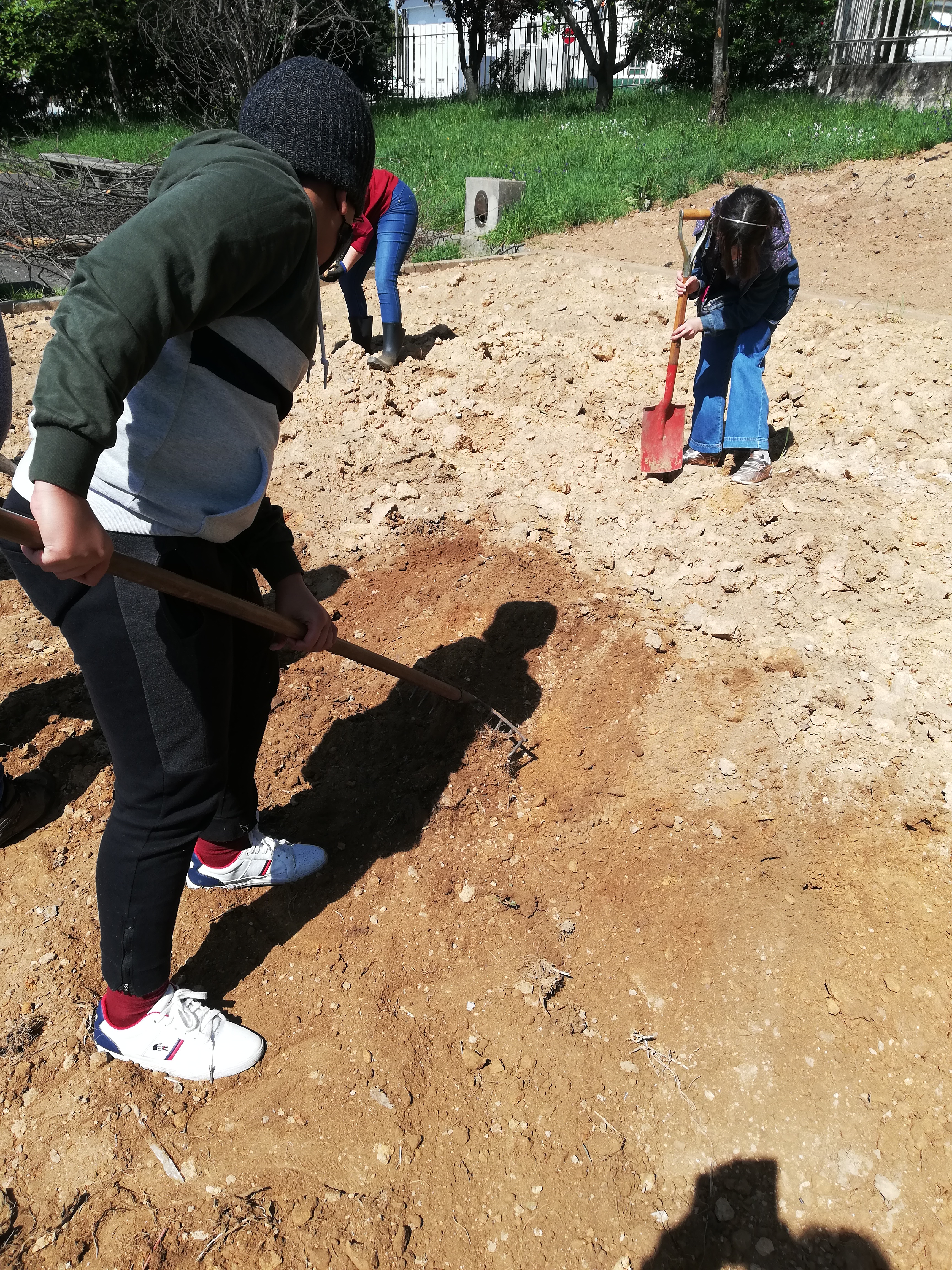 preparação do terreno para sementeira
