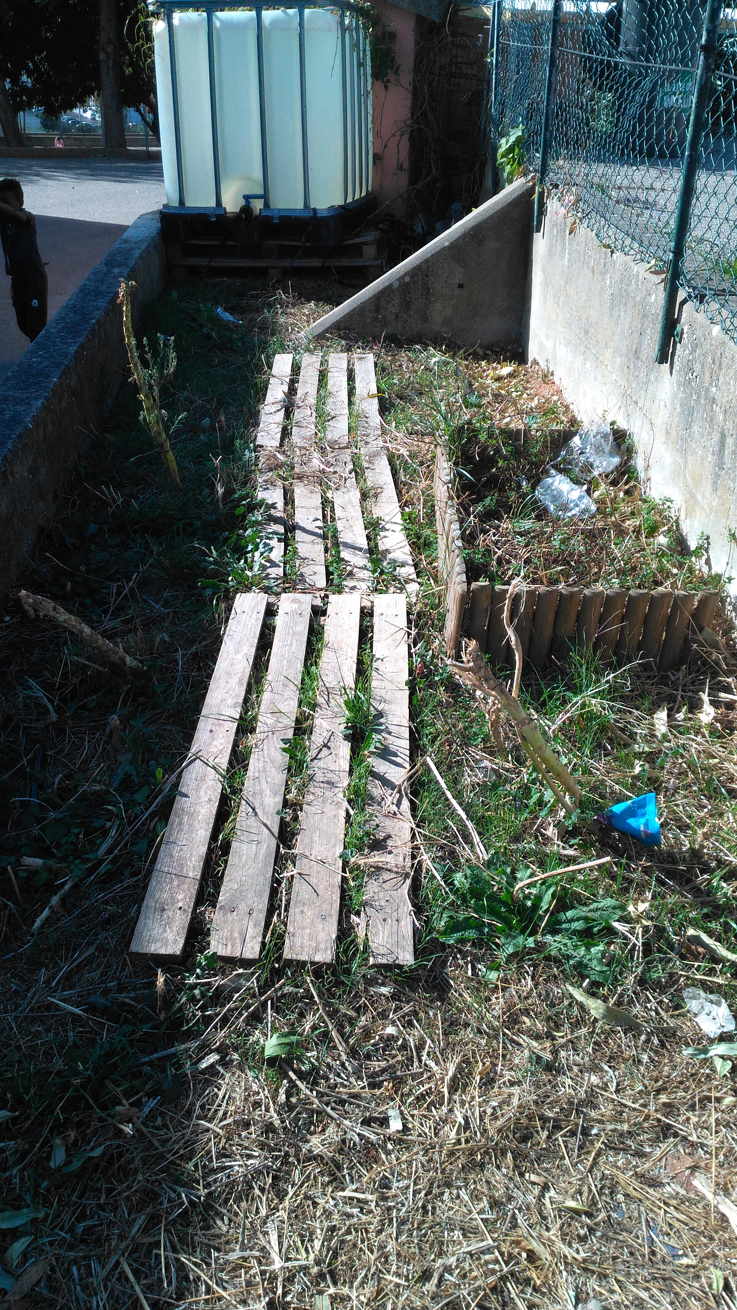Foto da Horta antes da plantação.