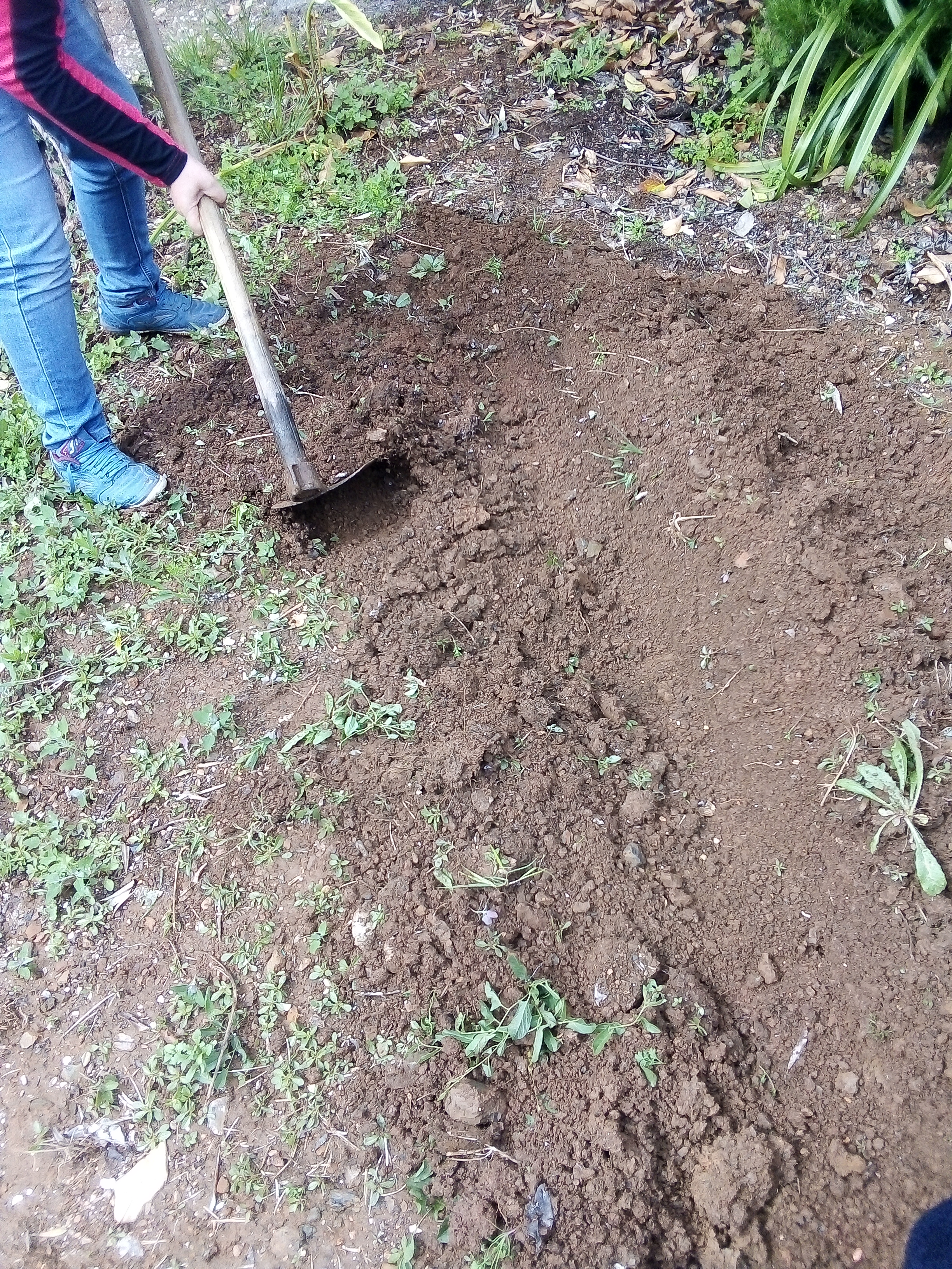 Preparar a terra