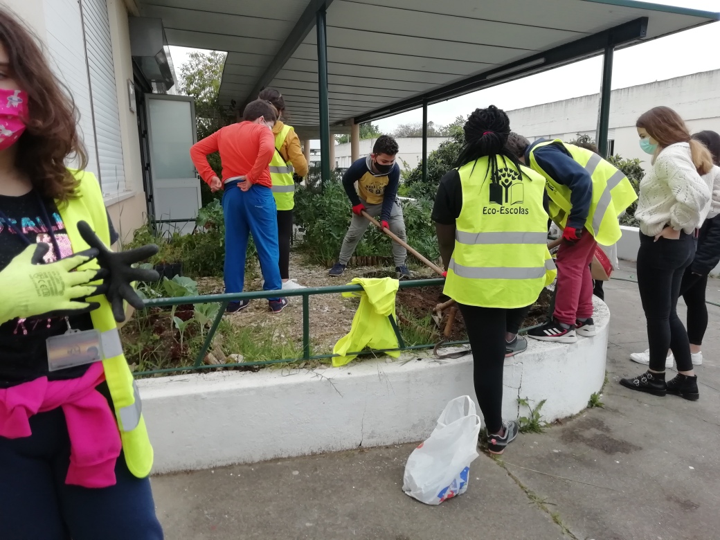 A foto1 representa os alunos do Clube do Ambiente no início do 3º período, a prepararem a terra de dois canteiros para plantarem tomateiros e pimenteiros e semearem batatas.