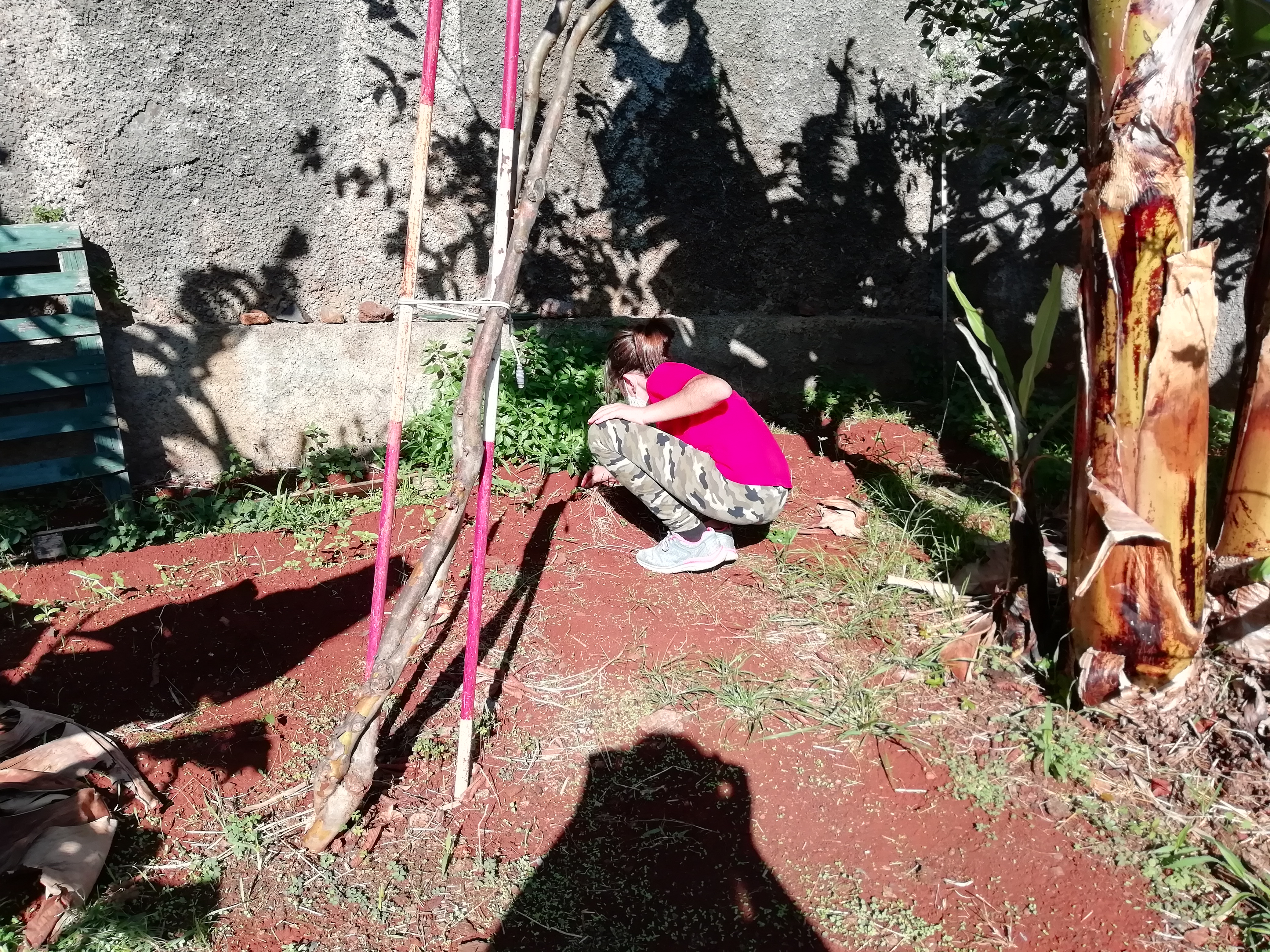 Todos ajudam
Algumas crianças no intervalo, preferem ajudar na horta e dispensam a hora da brincadeira.