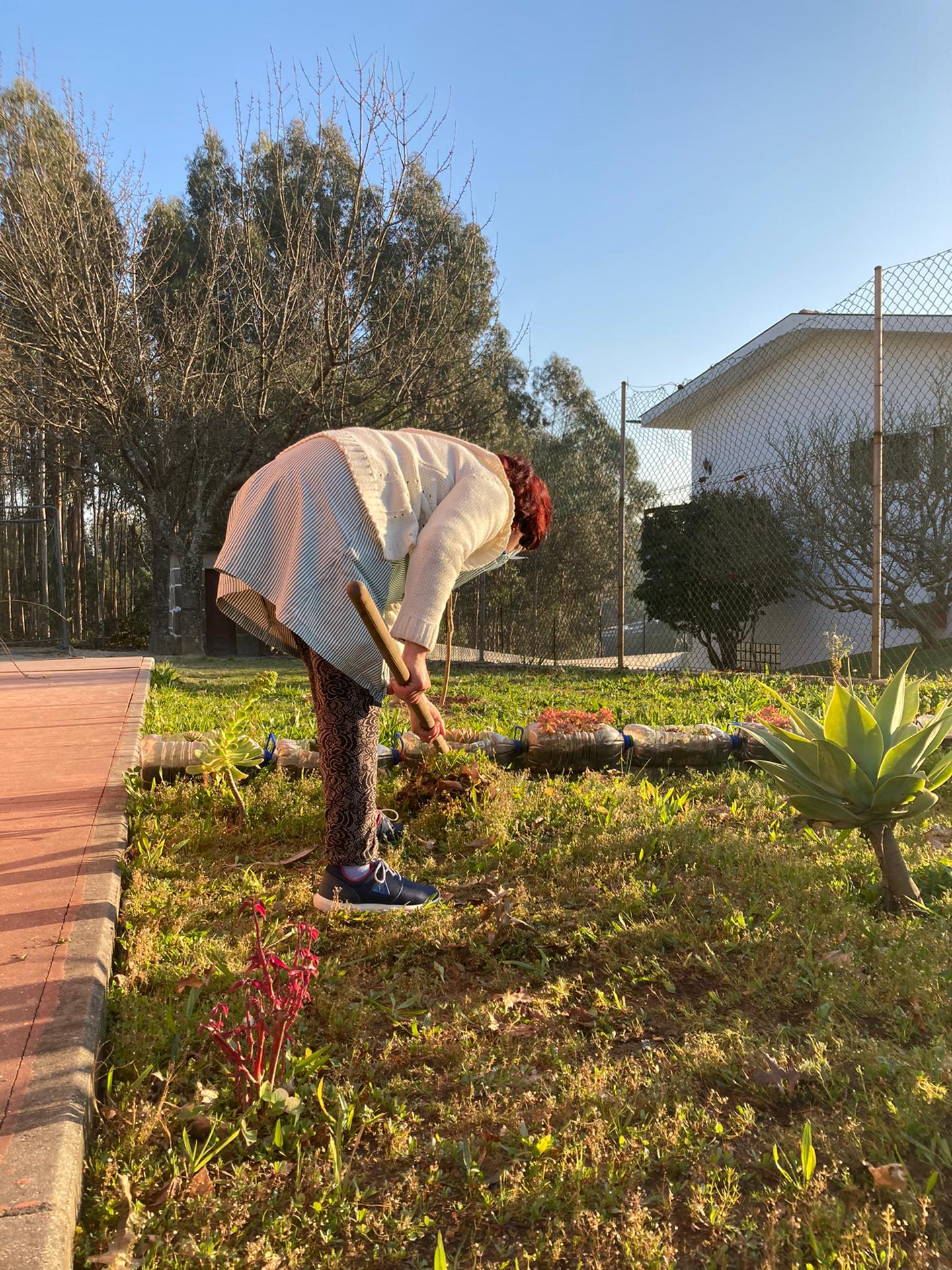 preparação da terra para receber novas sementes
