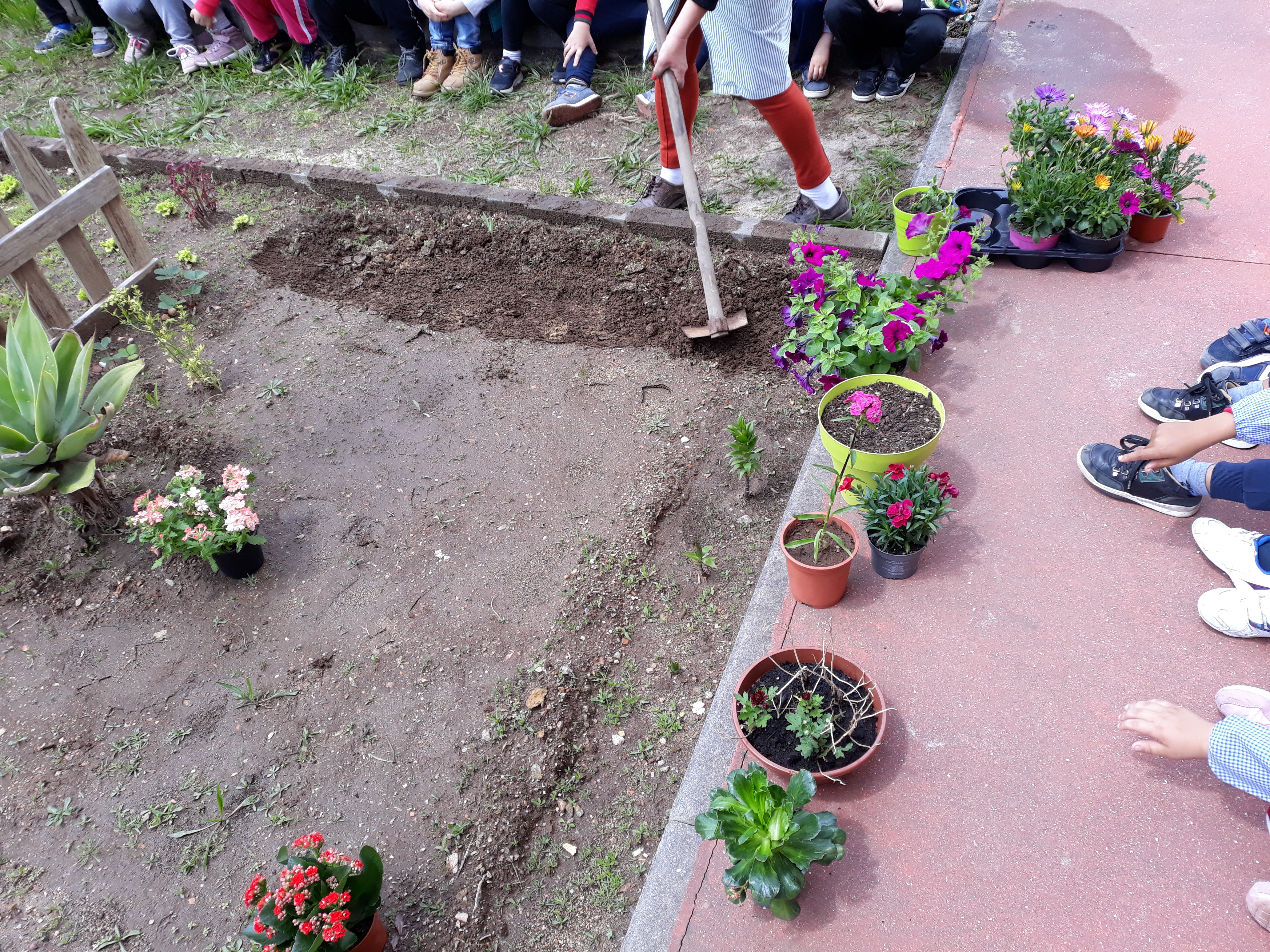 Preparação da terra para plantar as flores do jardim