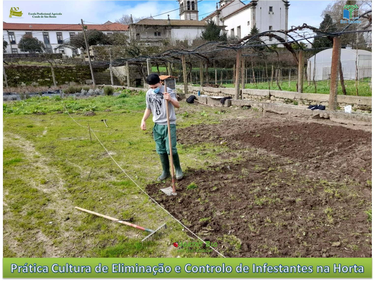 Prática Cultural de Eliminação e Controlo de Infestantes na Horta Biológica da EPACSB.
