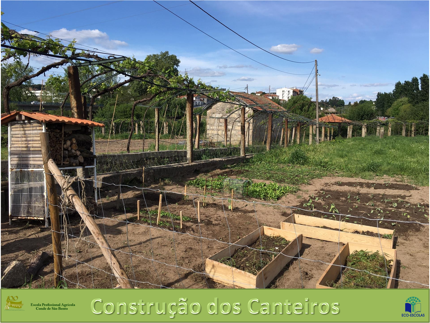 Construção dos Canteiros
