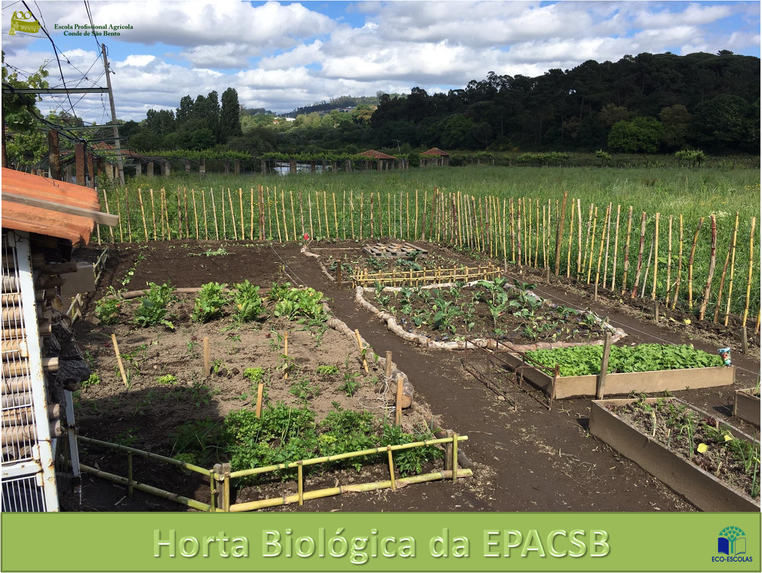 Horta Biológica da EPACSB