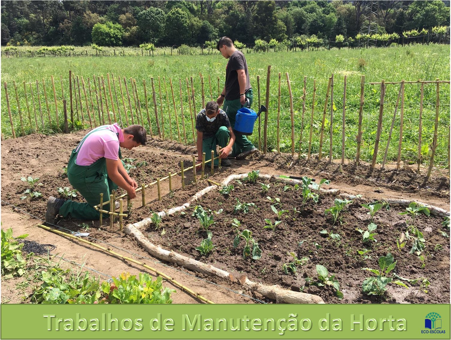 Trabalhos de Manutenção da Horta