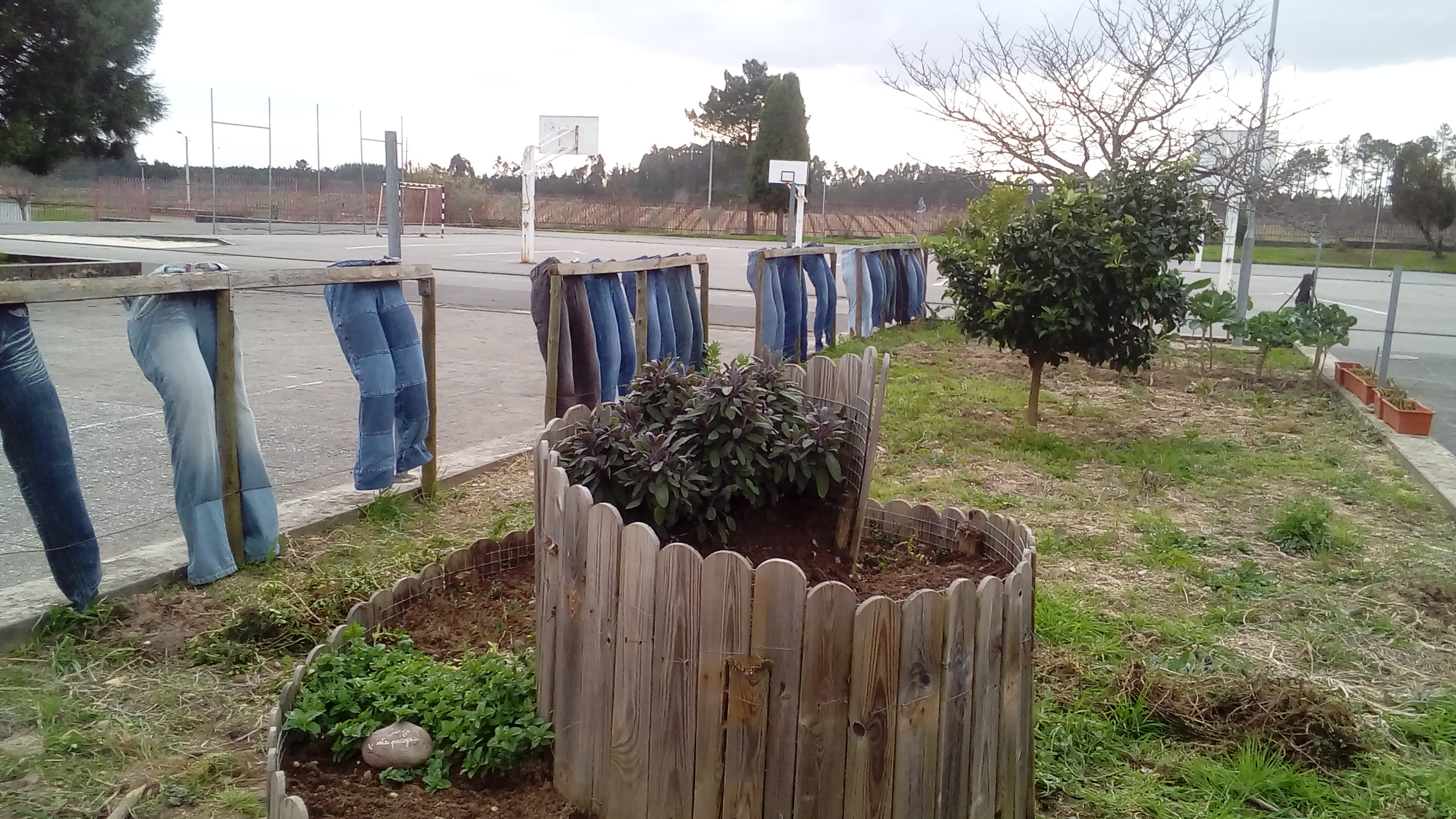 Inicio da preparação dos terrenos da horta.