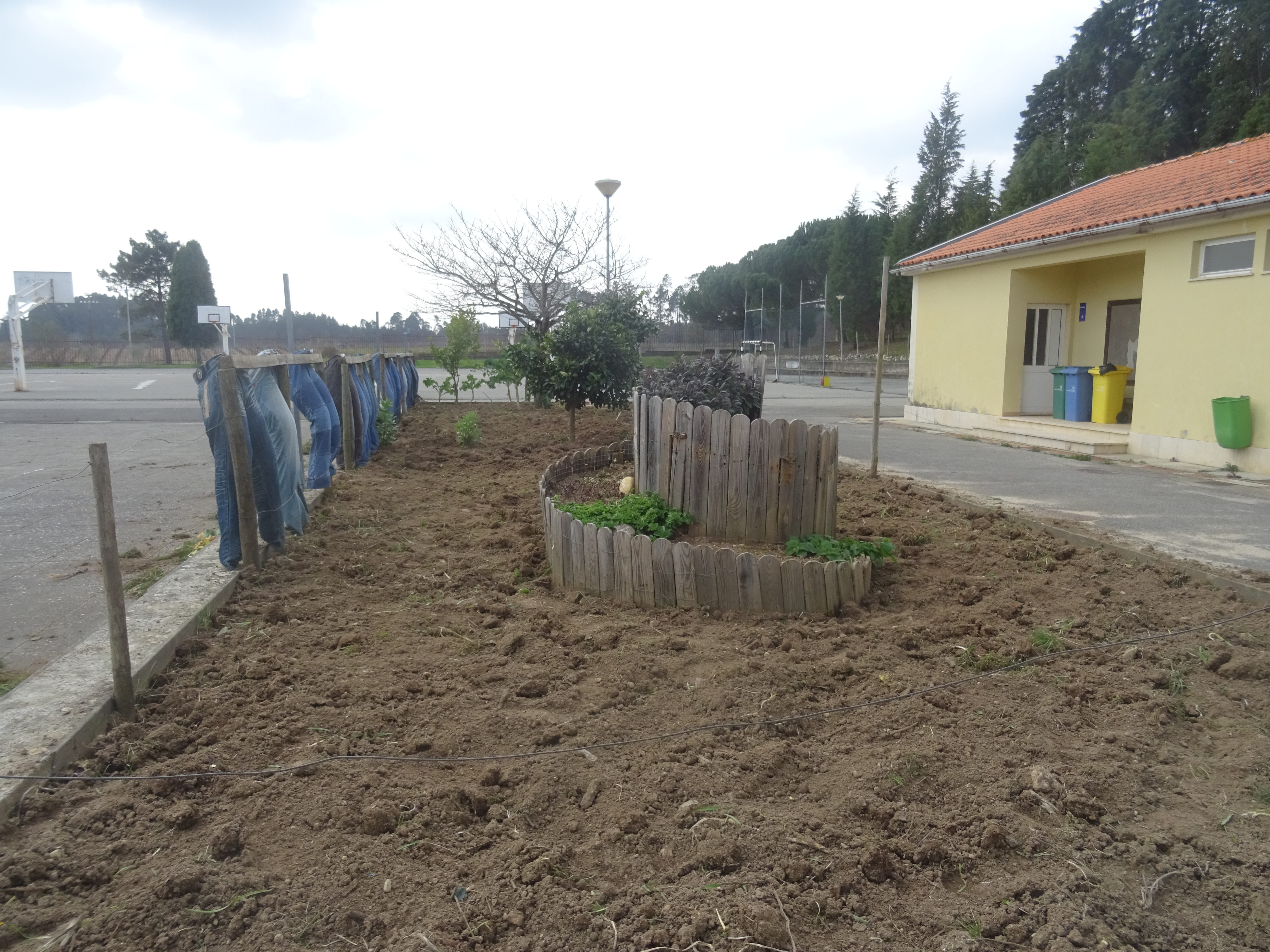 Tudo preparado para receber as sementeiras e plantações!