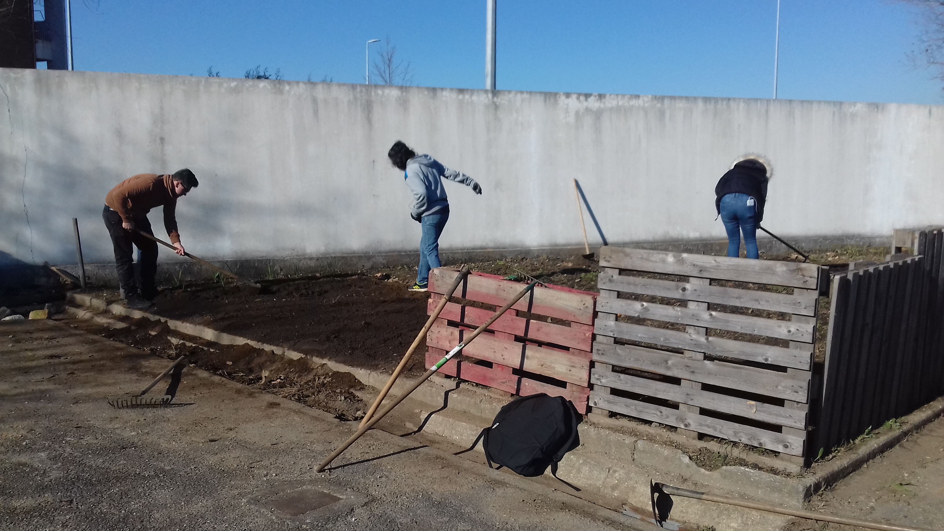 Trabalhos de recolha de resíduos da horta