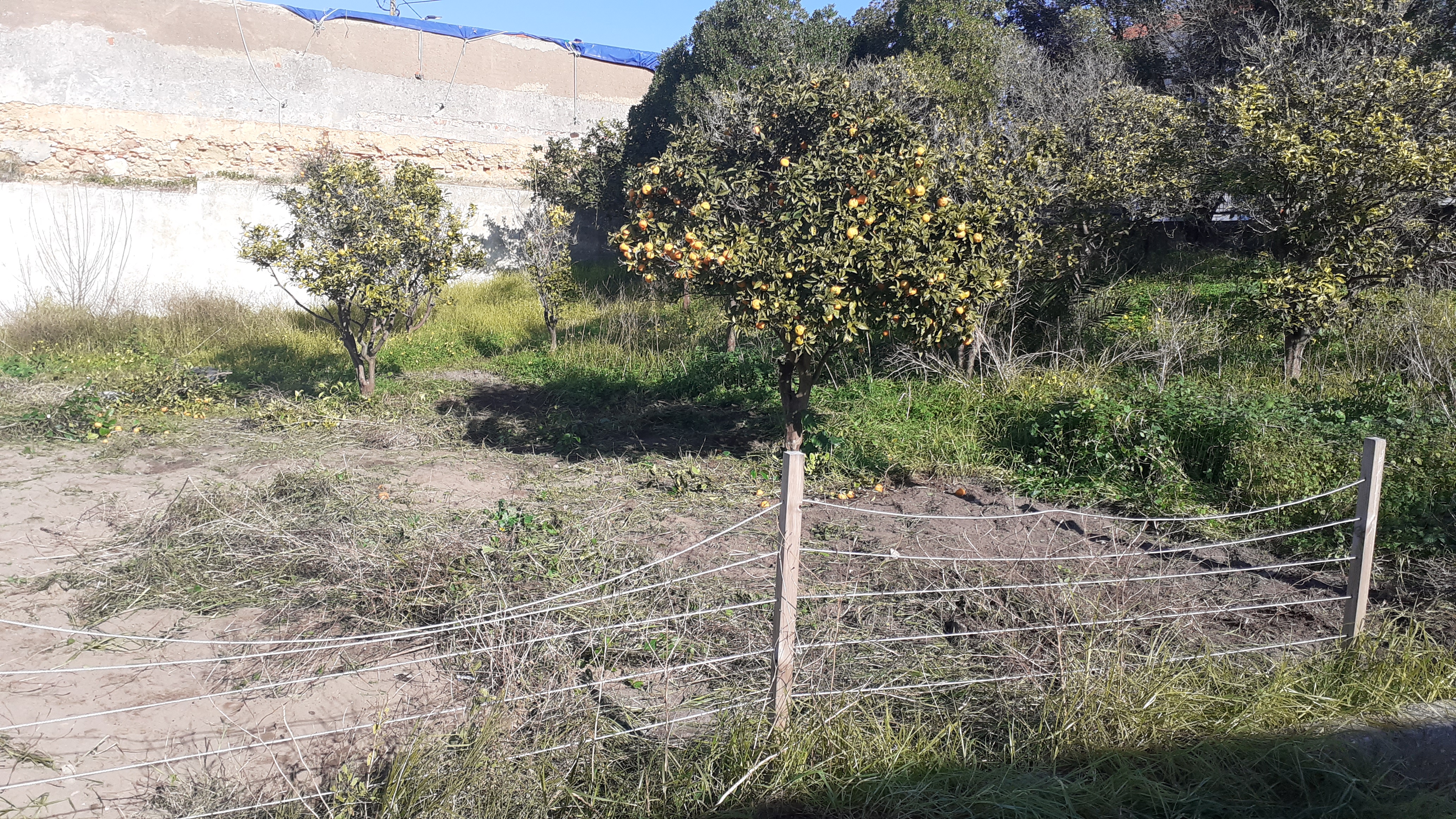 Início da limpeza do terreno