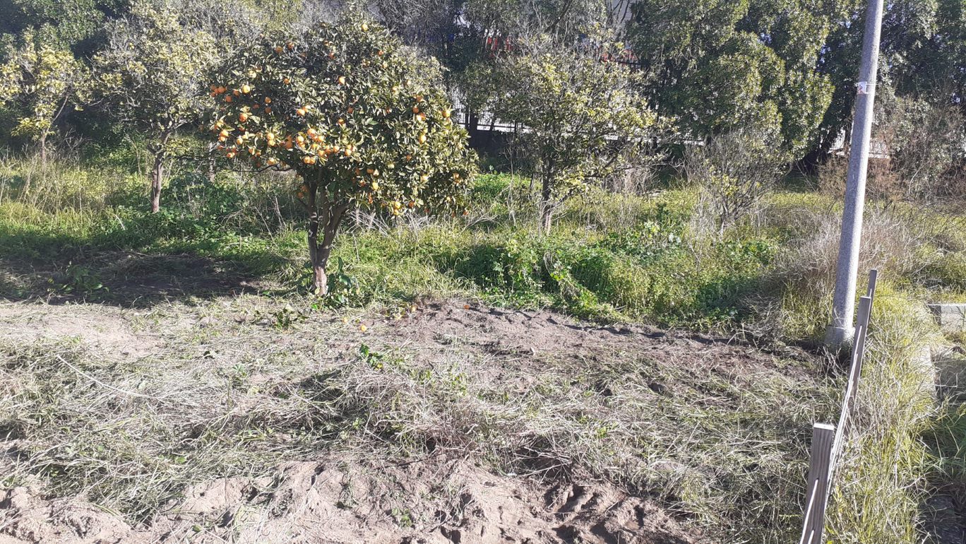 Espaço a cultivar2