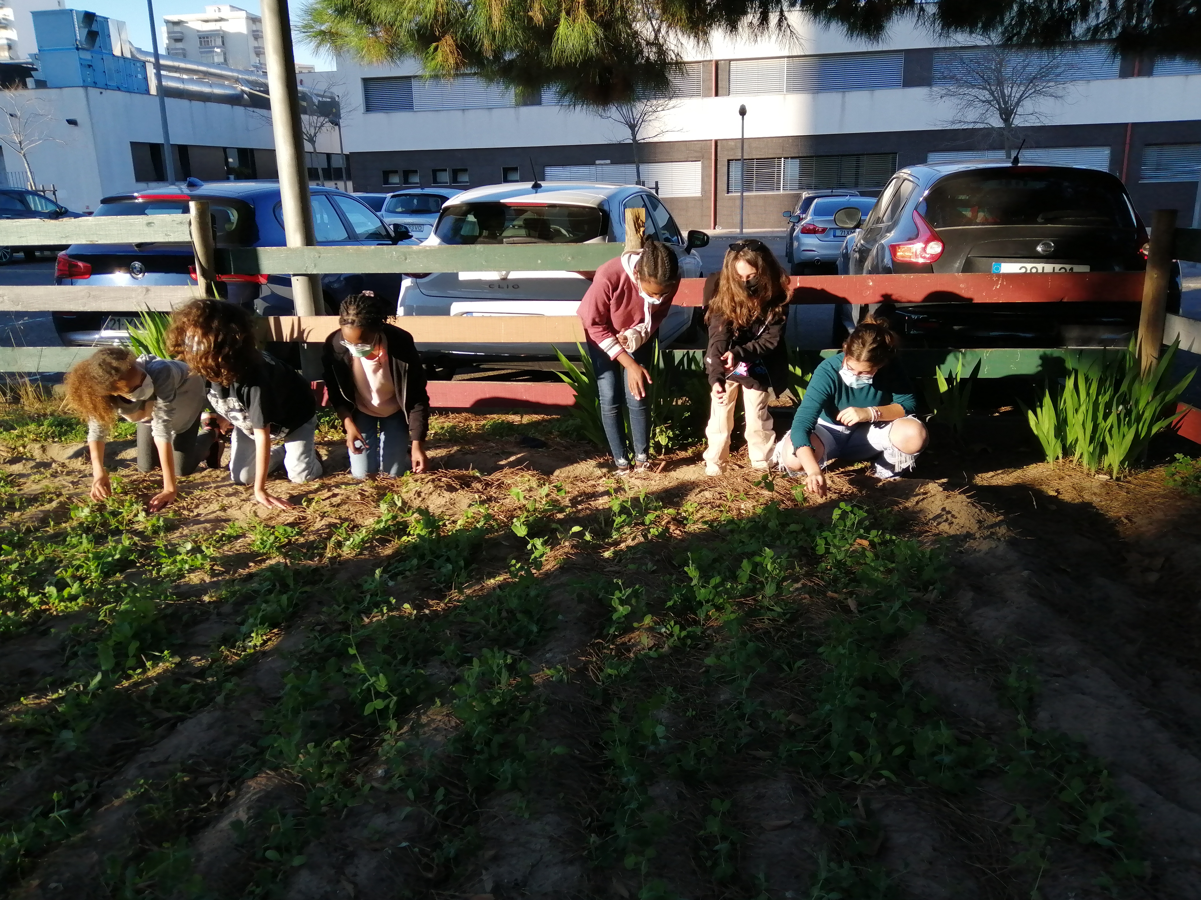 O 6ºA foi à "Nossa Horta"